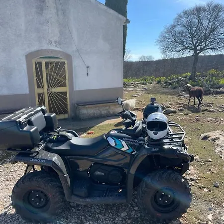 Vilă Ana With Jacuzzi & Swimming Pool