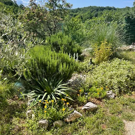 Ana With Jacuzzi & Swimming Pool
